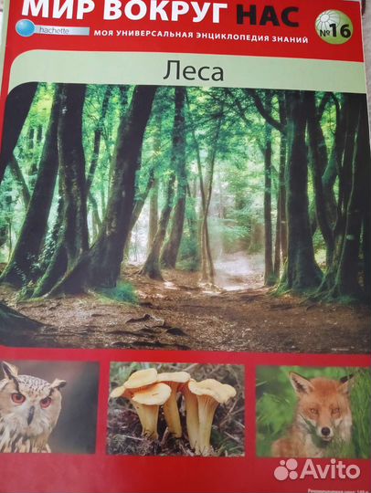 Энциклопедия