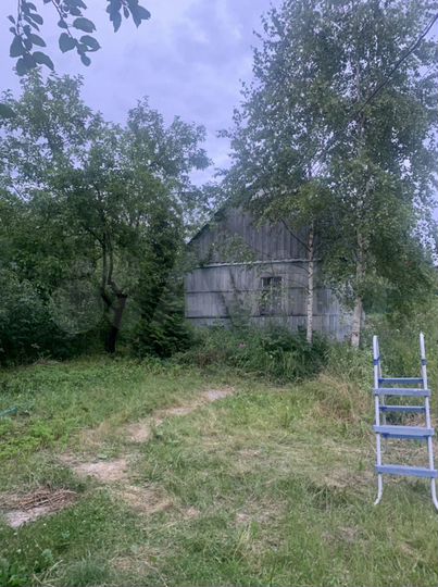 Участок 6 сот. (СНТ, ДНП)