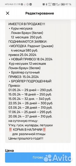 Куры: Несушка,Молодка