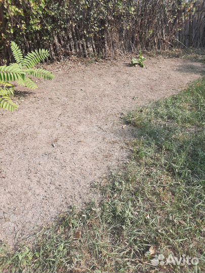 Покос травы