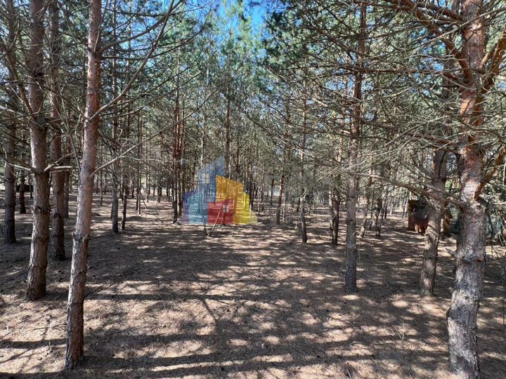 Дом 45 м² на участке 12 сот.