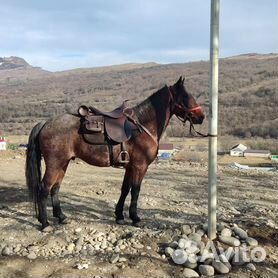 Грузоперевозки в Ингушетии