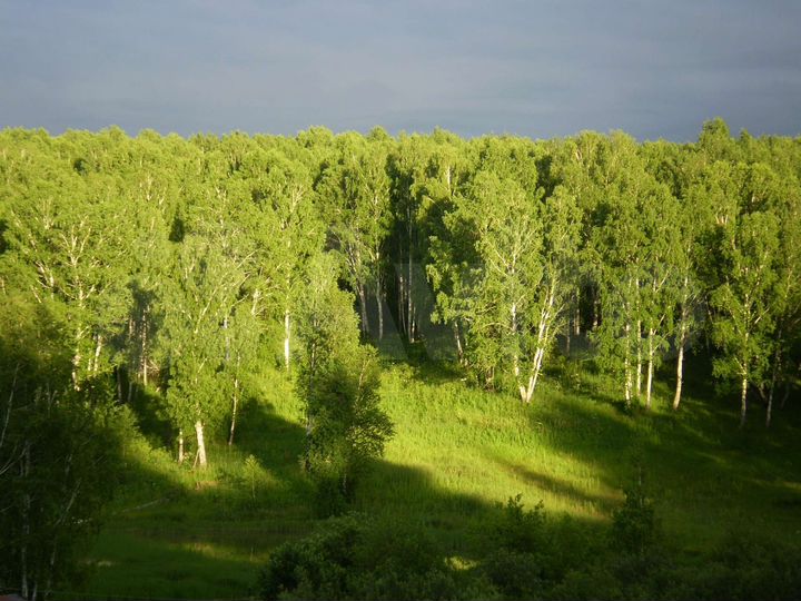 Дом 60 м² на участке 4 сот.