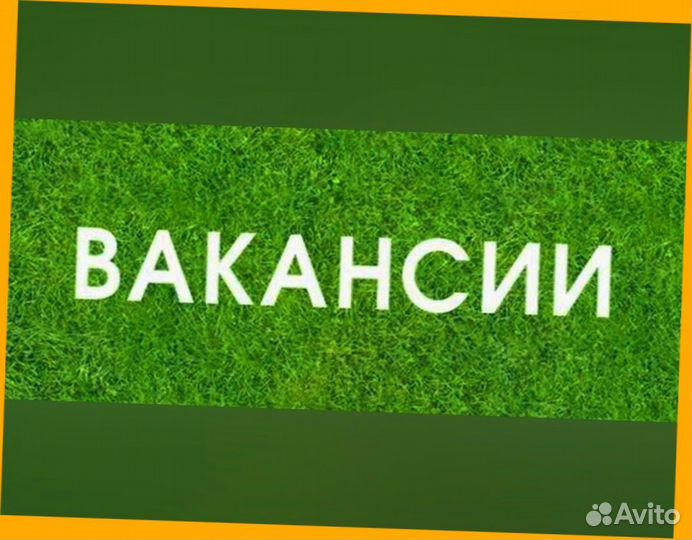 Грузчики Еженедельный аванс Спецодежда /Без опыта