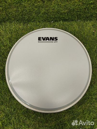 Evans UV1 B10UV1
