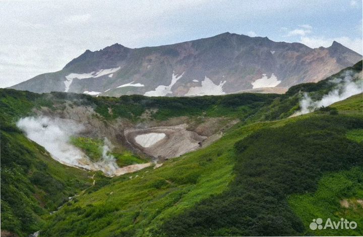 Тур авторский Камчатка летний от 7-ми до 9 дн