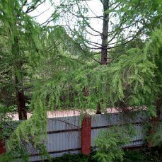 Дом 120 м² на участке 13,5 сот.