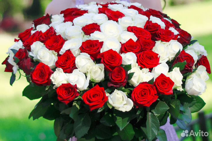 Букет из 89 розы Цветы Красноярск