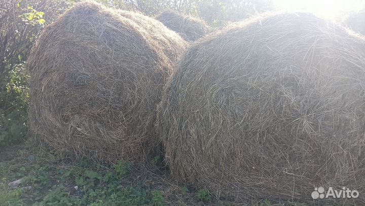 Сено рулоны
