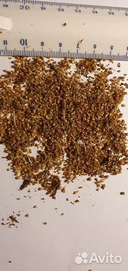 Подорожник (семена)