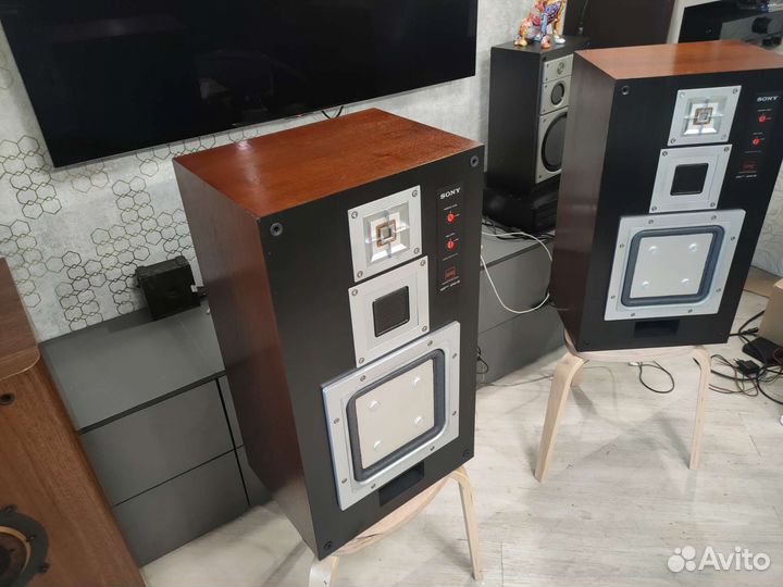 Sony APM55
