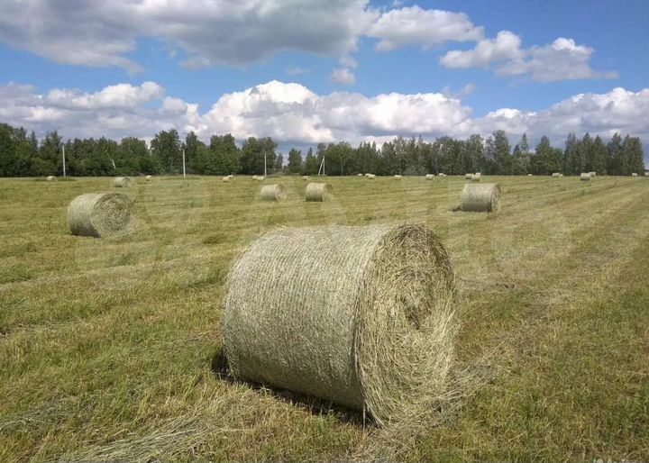 Участок 2 га (СНТ, ДНП)