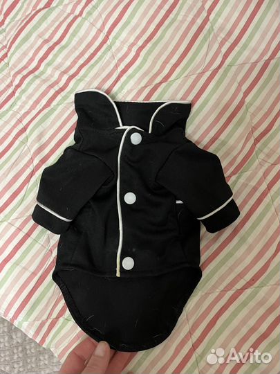 Одежда для чихуахуа