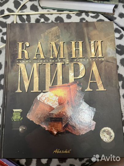 Камни мира книга