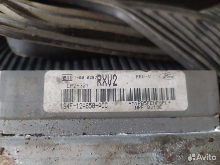 Мозги эбу Форд