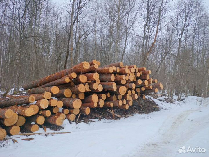 Продам лес кругляк