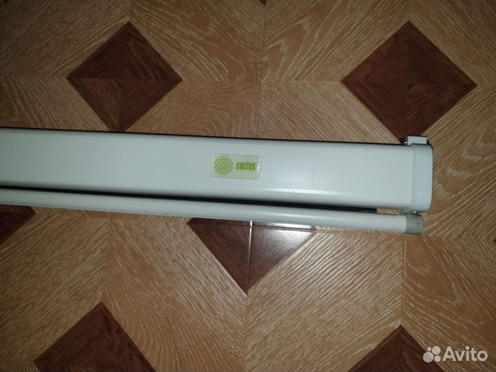 Экран Cactus Wallscreen CS-PSW-149x265