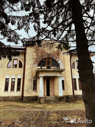 Йога ретрит на один день