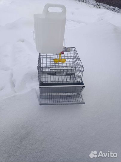 Клетки для перепелов