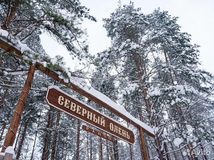 Деревянные таблички и вывески на заказ