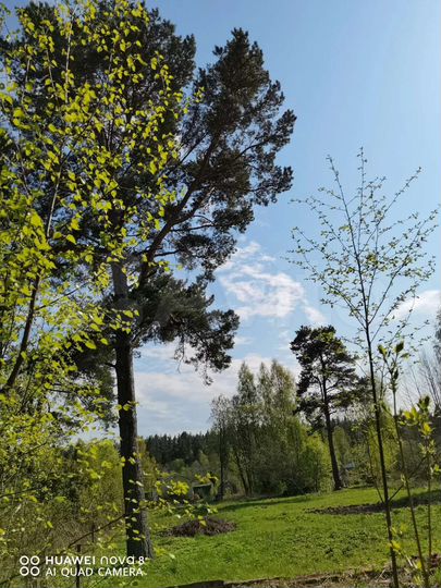 Участок 15 сот. (ИЖС)