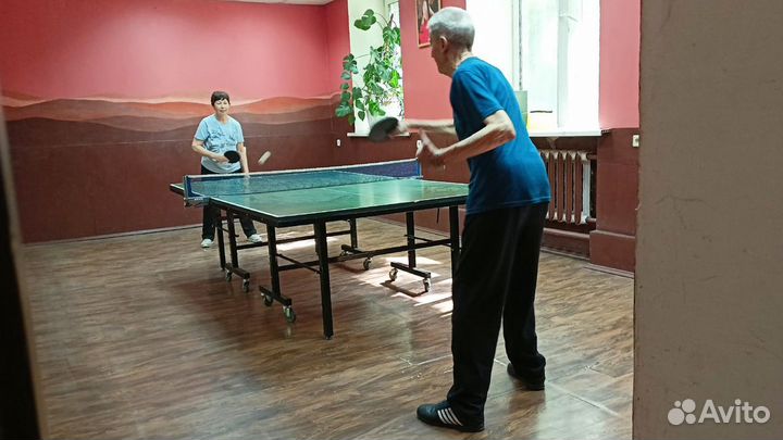 Настольный теннис