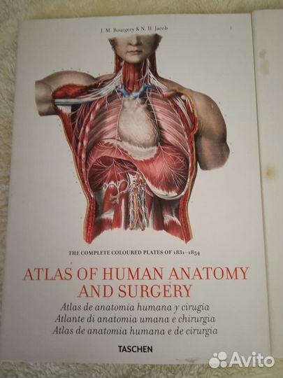 Энциклопедия