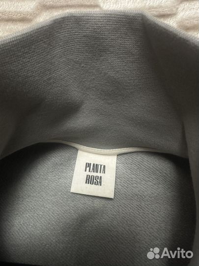 Онарак planta rose L