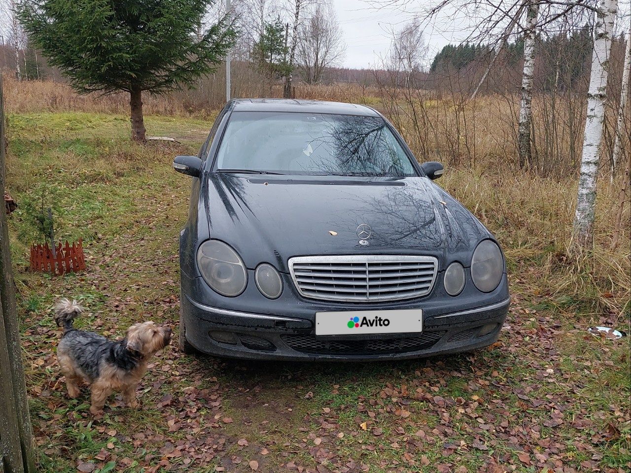 Mercedes-Benz E-класс: фото владельца