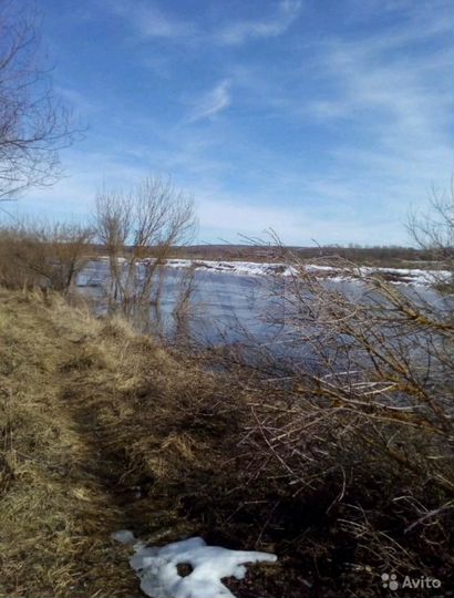 Участок 12,5 сот. (СНТ, ДНП)