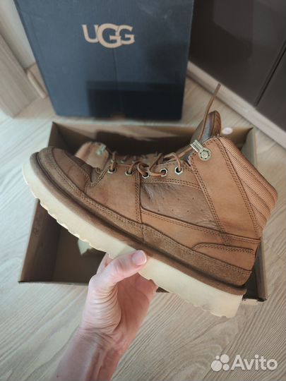 Ботинки мужские Ugg