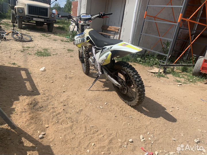 Avantis FX250LUX 2020
