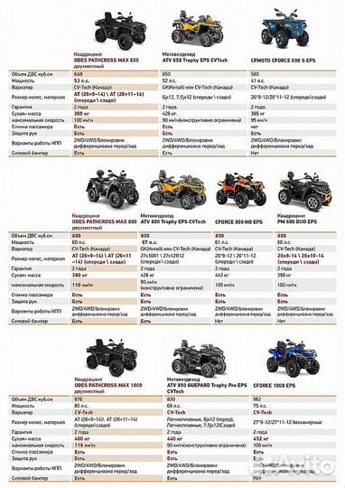 Квадроцикл aodes pathcross MAX 800 LUX LCD, двухме