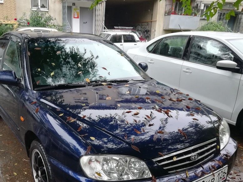 Kia Spectra: фото владельца