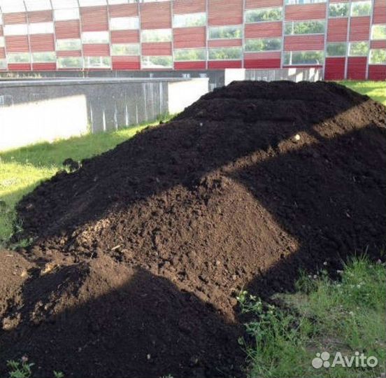 Чернозем Лесной