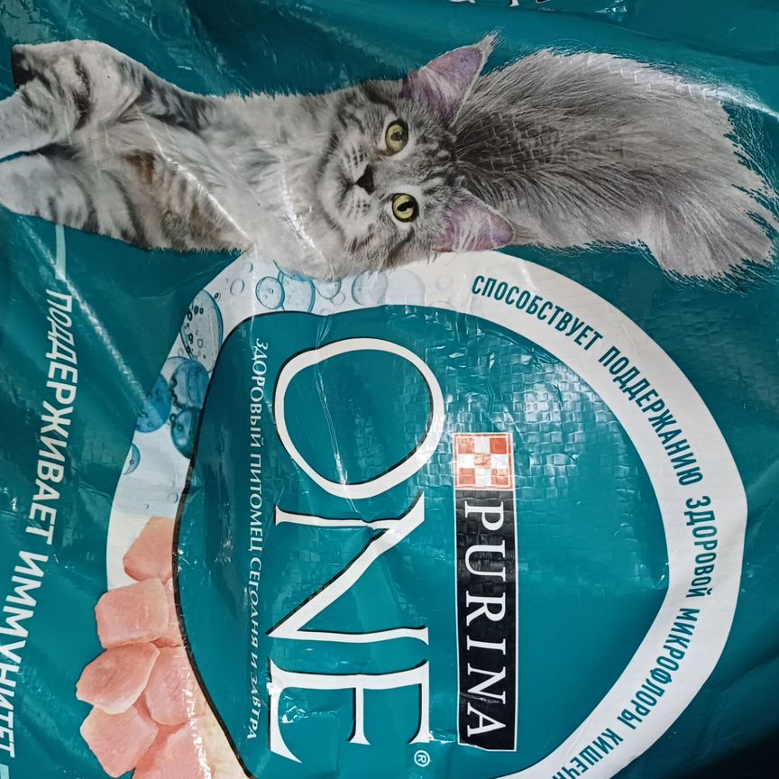 Корм для кошек Purina ONE, 9,75 кг