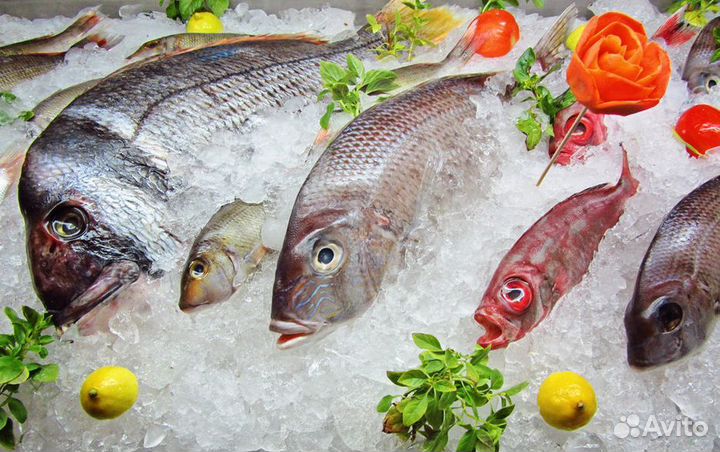 Франшиза: бизнес с поддержкой