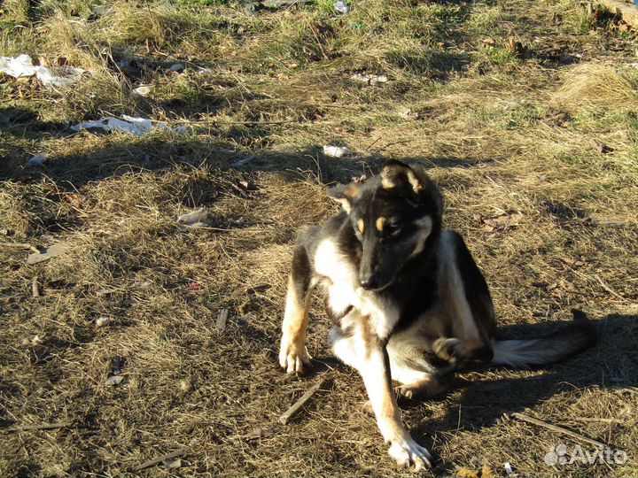 Катенька ищет любящую семью