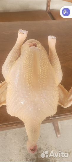 Индюки на мясо