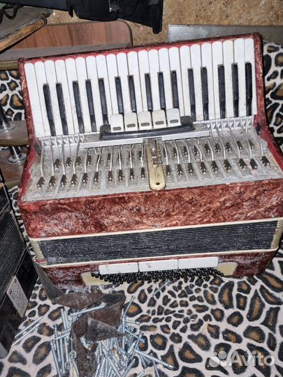 Аккордеон советский