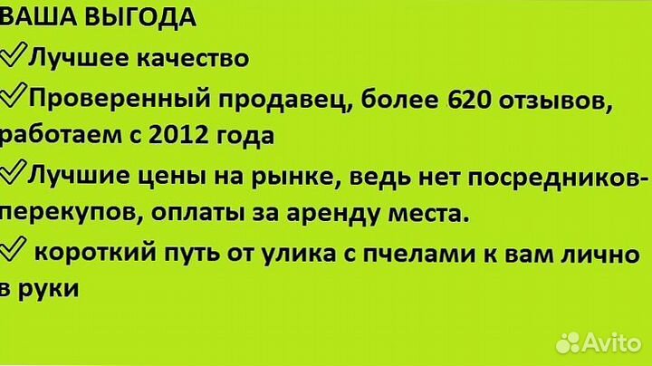 Мед для здоровья к столу, доставка беспл