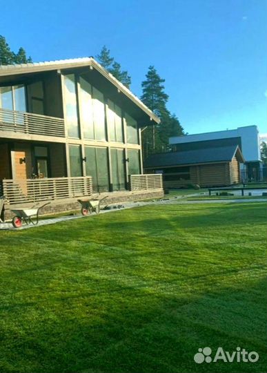 Рулонный газон 