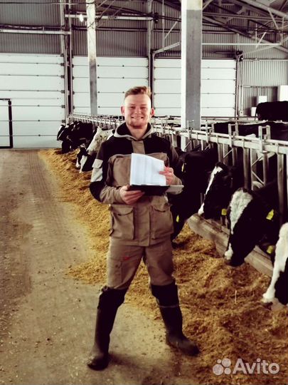 Ветеринарный врач выезд на дом