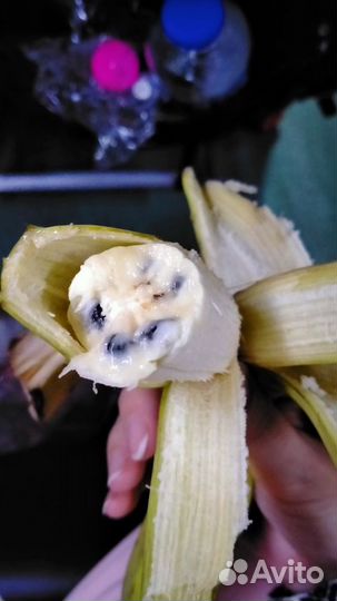 Папайя и банан семена