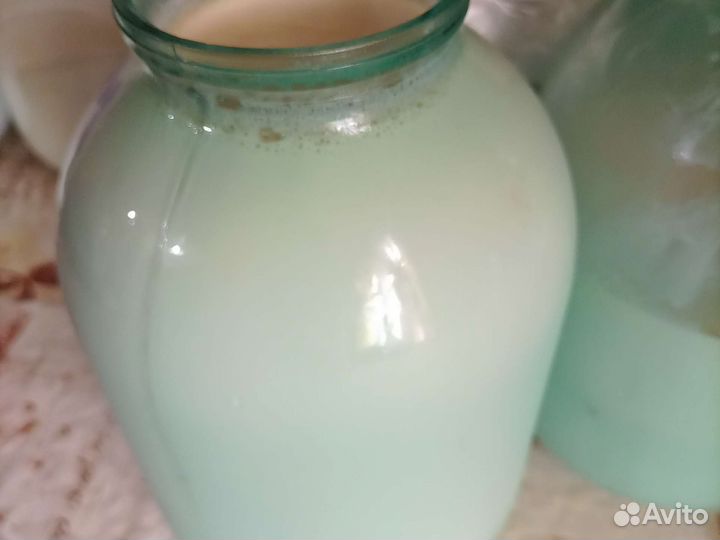 Молоко, сметана и творог,сливки, масло