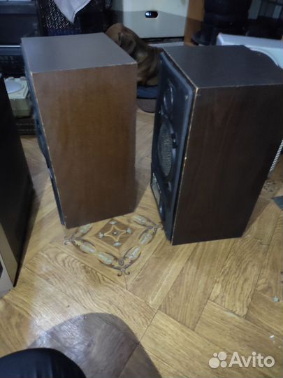 Колонки радиотехника s 30