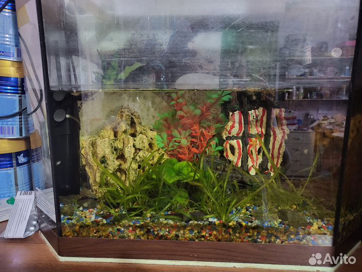 Аквариум