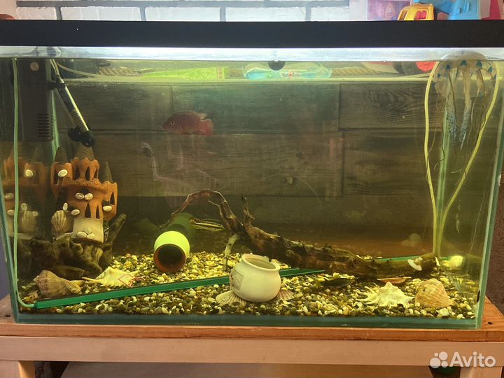 Аквариум с рыбками