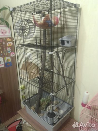 Клетка для грызунов большая