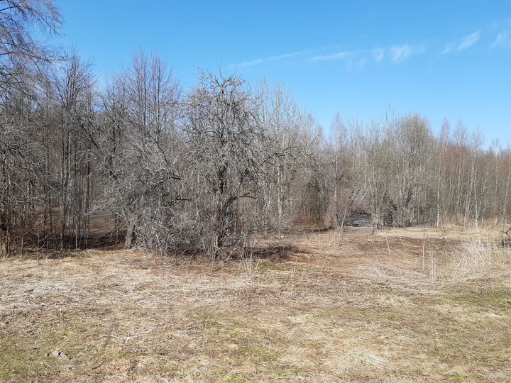 Дом 50 м² на участке 53 сот.